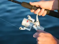 Melhores Iscas para Peixes de Couro