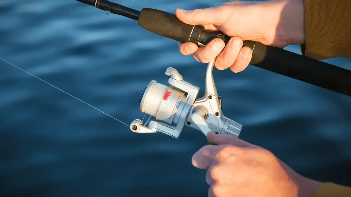 Melhores Iscas para Peixes de Couro