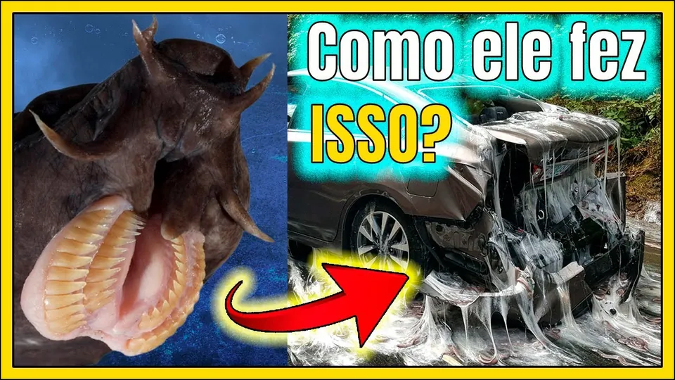 Miniatura do vídeo