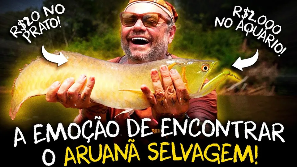 Miniatura do vídeo