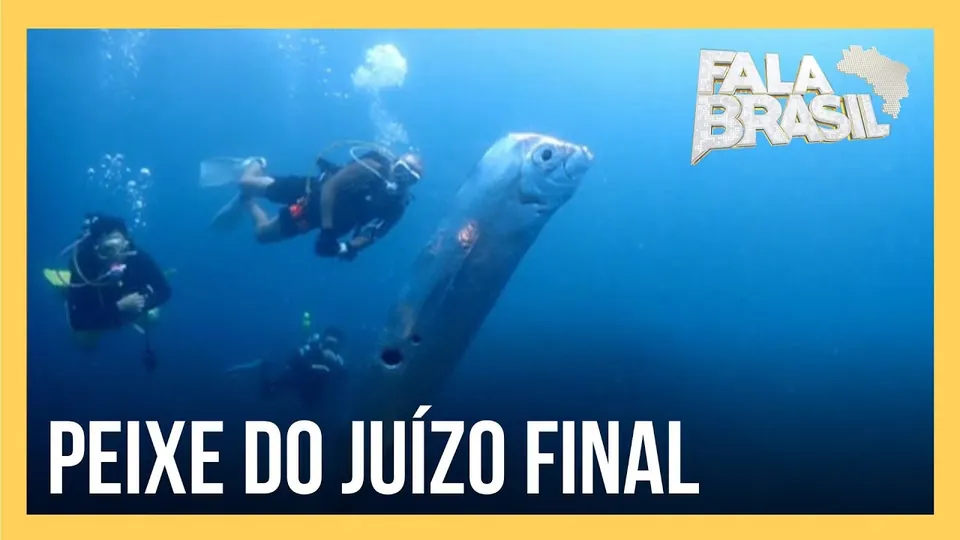 Miniatura do vídeo